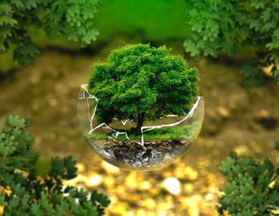 5 июня всемирный день окружающей среды