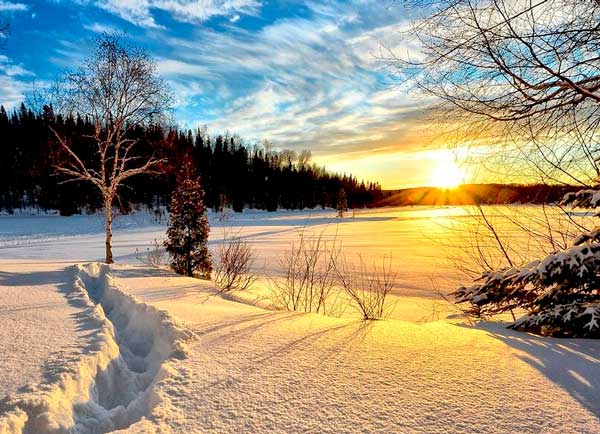 Зимнее утро (Мороз и солнце; день чудесный!)